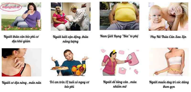 Đối tượng sử dụng trà giảm cân Golean