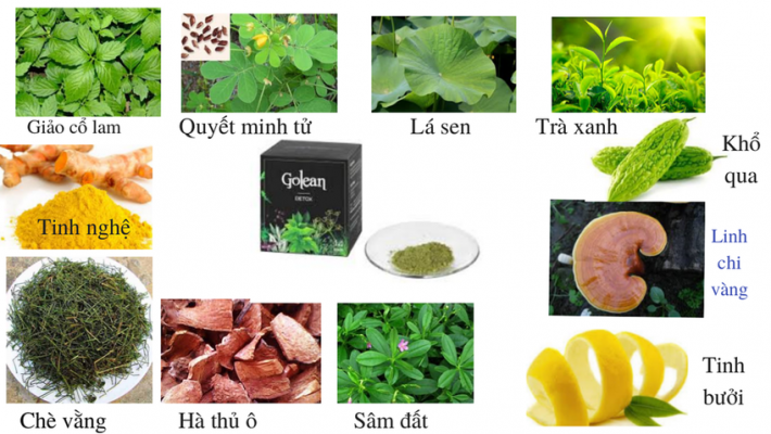 Thành phần Trà giảm cân Golean