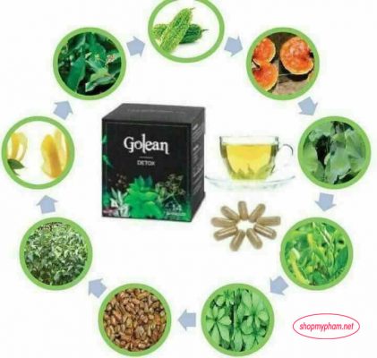 Thành phần tạo nên trà giảm cân Golean