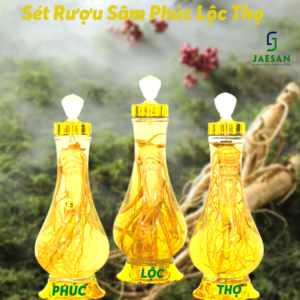 Sét Rượu Sâm Phúc Lộc Thọ
