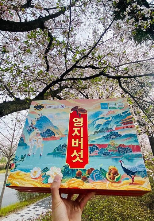 Nấm linh chi tiến vua