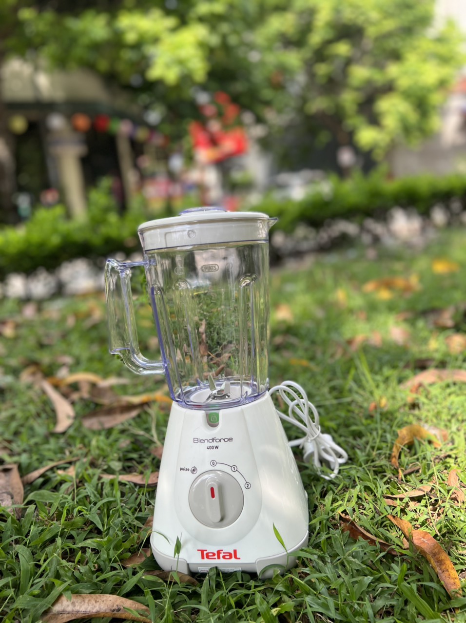 MÁY XAY SINH TỐ TRFAL BL 30A165 - Ảnh 2